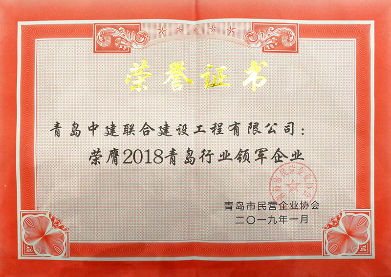 民營企業(yè)高質(zhì)量發(fā)展，德才集團(tuán)再獲殊榮領(lǐng)跑民企(圖8)