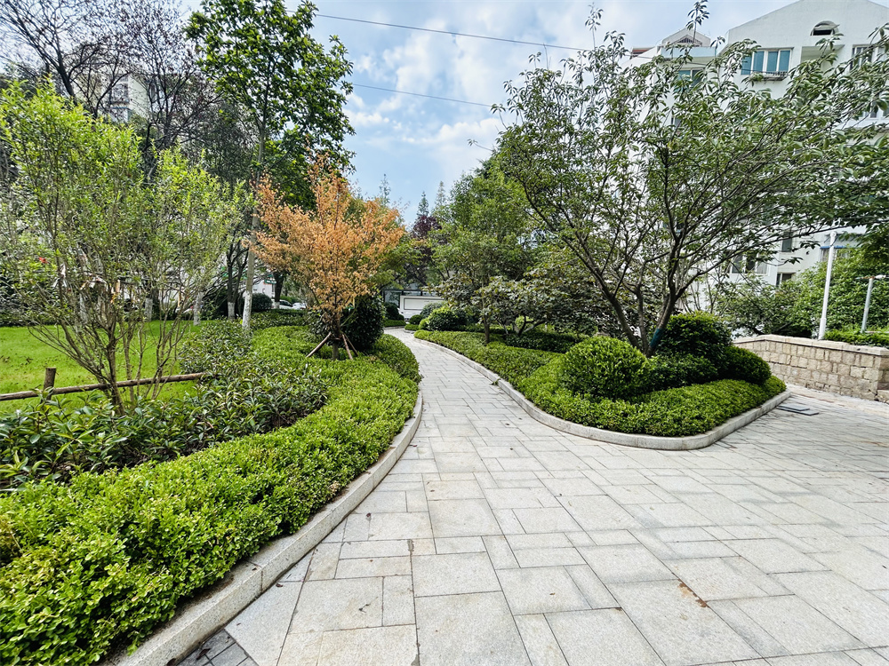 創(chuàng)新模式打造品質(zhì)社區(qū)——青島市永嘉路二片區(qū)老舊小區(qū)改造項(xiàng)目(圖12) 創(chuàng)新模式打造品質(zhì)社區(qū)——青島市永嘉路二片區(qū)老舊小區(qū)改造項(xiàng)目(圖12)